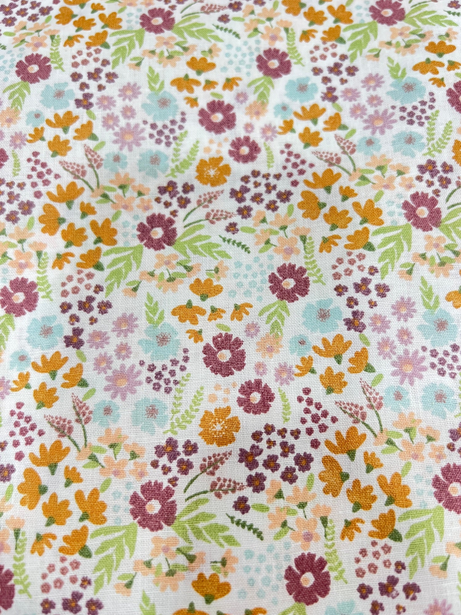 Coleccion Zinnia